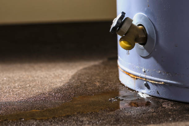 Best Water damage cleanup near me  in Prince George, VA