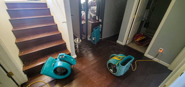 Best Local water damage restoration  in Prince George, VA